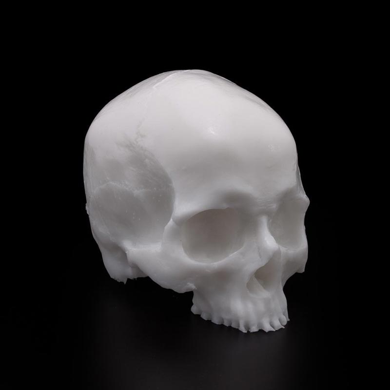 Skull - White